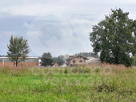 INCENDIO A SAN GILLIO - Rotoballe a fuoco in via Battisti. Salve decine di capre