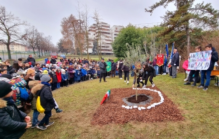 VENARIA - Giorno della Memoria: piantato un ulivo nella scuola Don Milani - FOTO