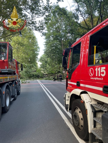 MALTEMPO - ALLERTA GIALLA: Alberi caduti e grandine. Disagi a Borgaro, Cafasse e Rivoli