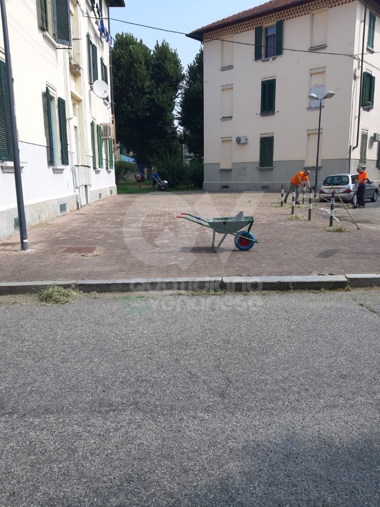 VENARIA - Il grande lavoro dei cantieristi: estirpano le erbacce, tinteggiano le aule e puliscono le aiuole - FOTO