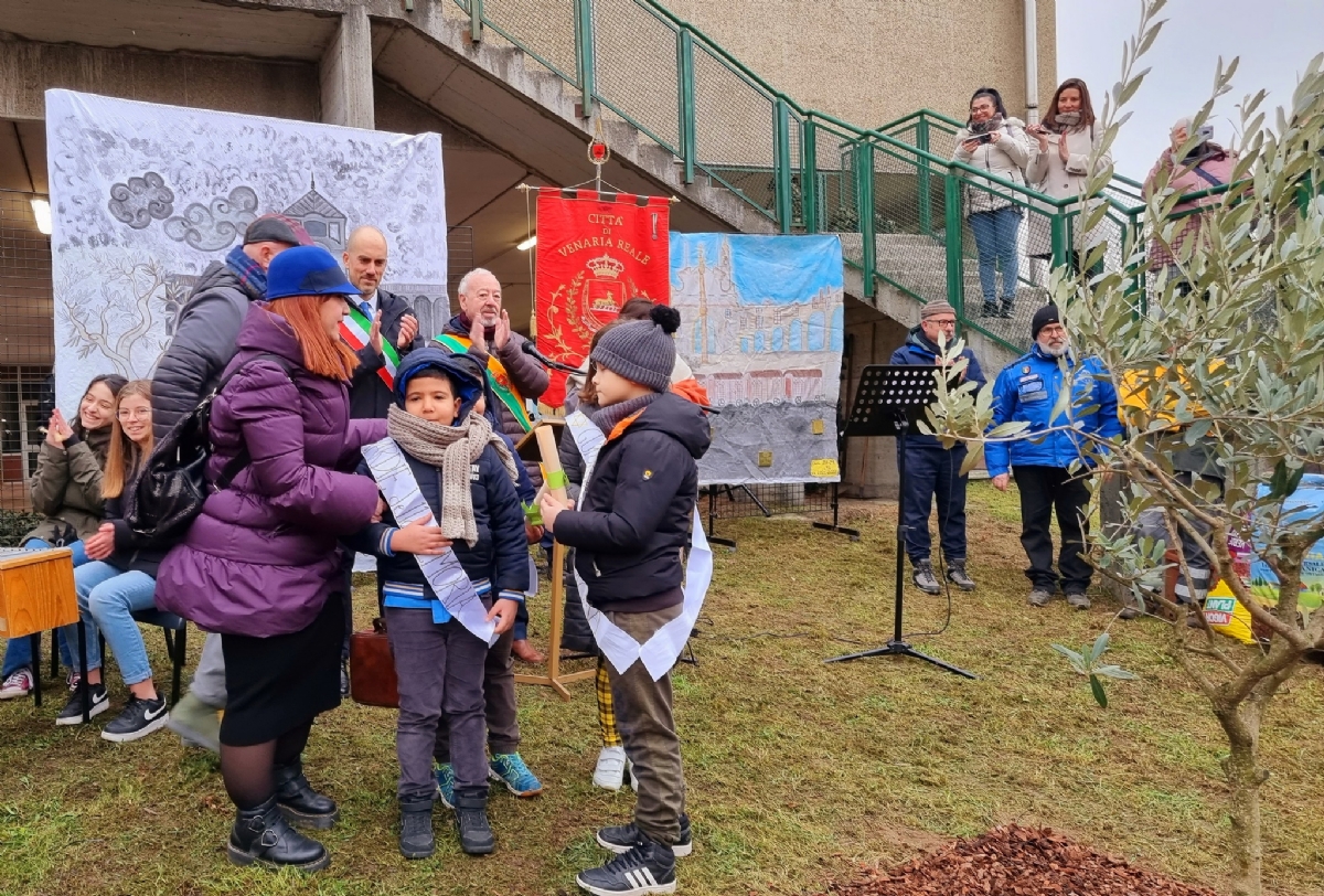 VENARIA - Giorno della Memoria: piantato un ulivo nella scuola Don Milani - FOTO