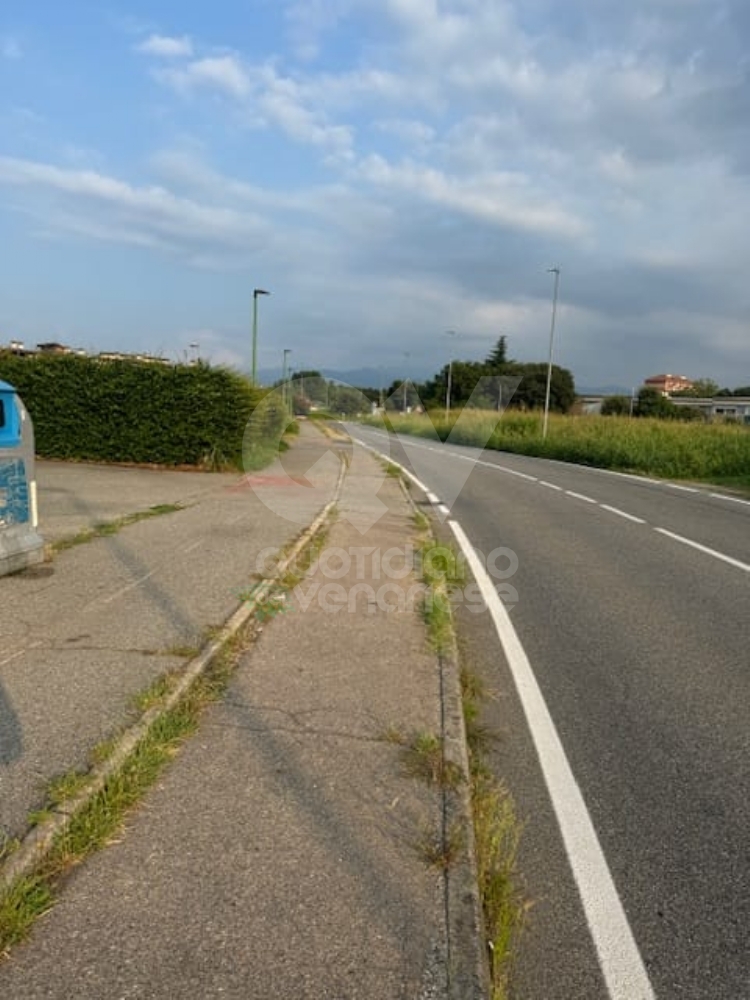 VENARIA - Il grande lavoro dei cantieristi: estirpano le erbacce, tinteggiano le aule e puliscono le aiuole - FOTO