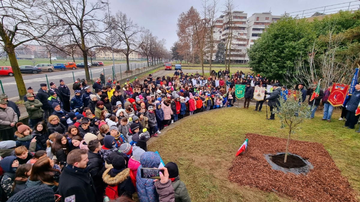 VENARIA - Giorno della Memoria: piantato un ulivo nella scuola Don Milani - FOTO