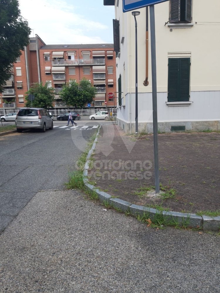 VENARIA - Il grande lavoro dei cantieristi: estirpano le erbacce, tinteggiano le aule e puliscono le aiuole - FOTO