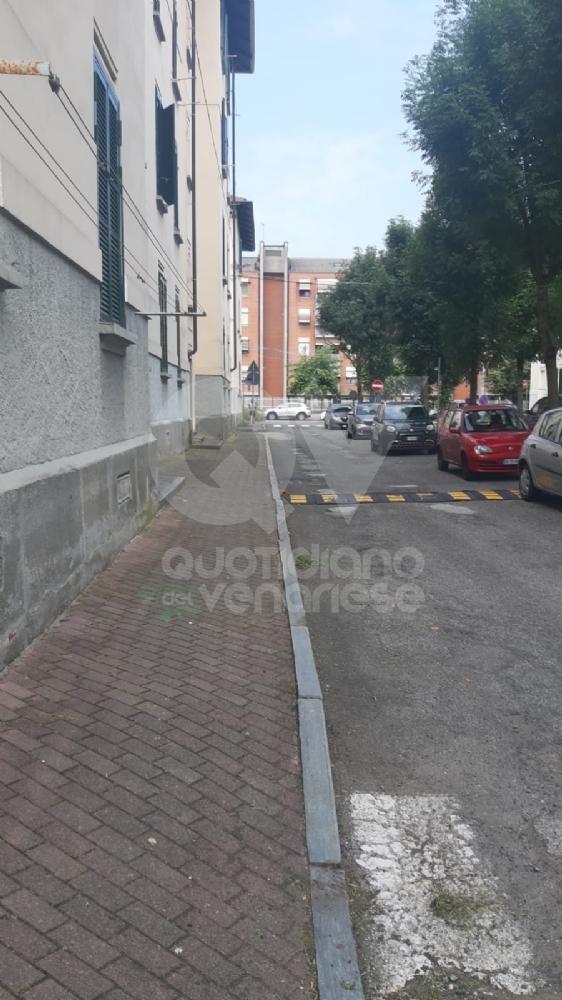 VENARIA - Il grande lavoro dei cantieristi: estirpano le erbacce, tinteggiano le aule e puliscono le aiuole - FOTO