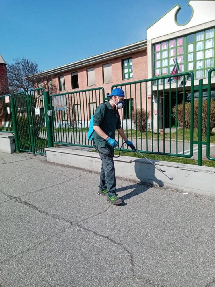 VENARIA - Partiti gli interventi per debellare la processionaria del pino - FOTO