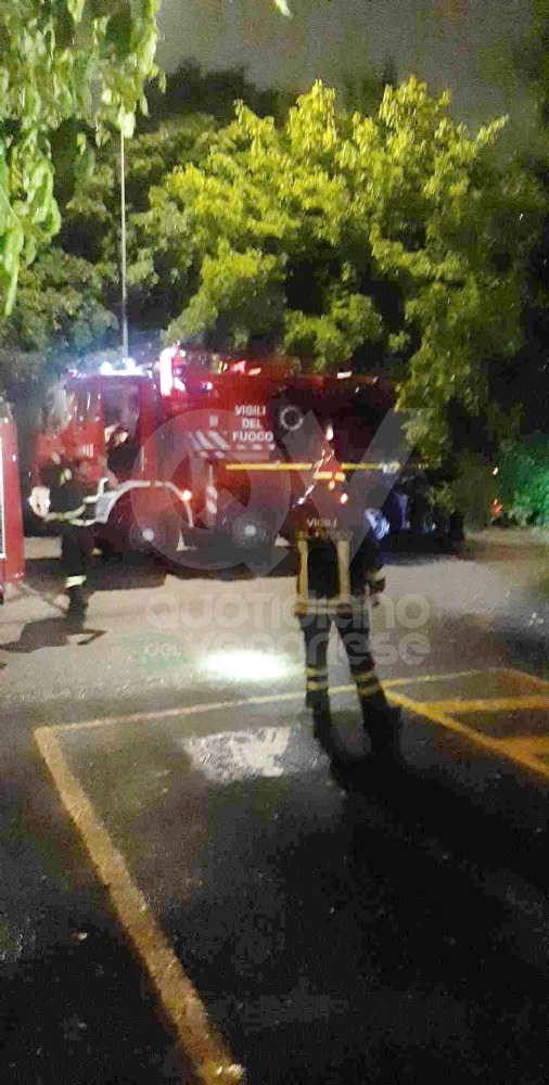 PAURA A VENARIA - Maltempo, albero cade su tre auto in via Paganini - FOTO