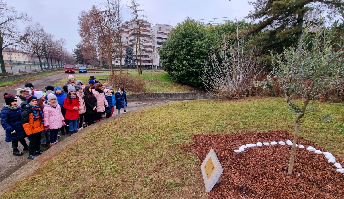 VENARIA - Giorno della Memoria: piantato un ulivo nella scuola Don Milani - FOTO