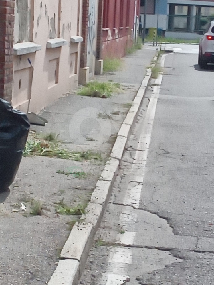 VENARIA - Il grande lavoro dei cantieristi: estirpano le erbacce, tinteggiano le aule e puliscono le aiuole - FOTO