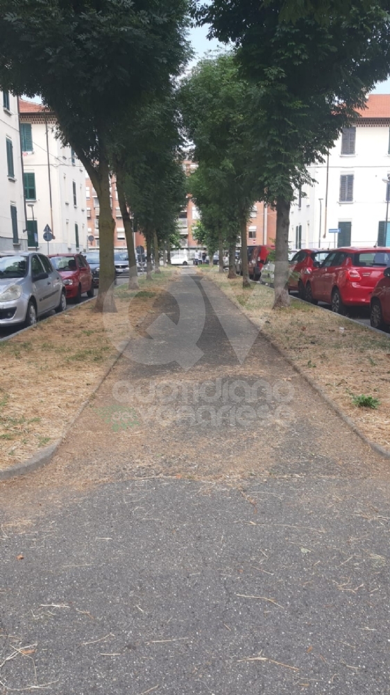 VENARIA - Il grande lavoro dei cantieristi: estirpano le erbacce, tinteggiano le aule e puliscono le aiuole - FOTO