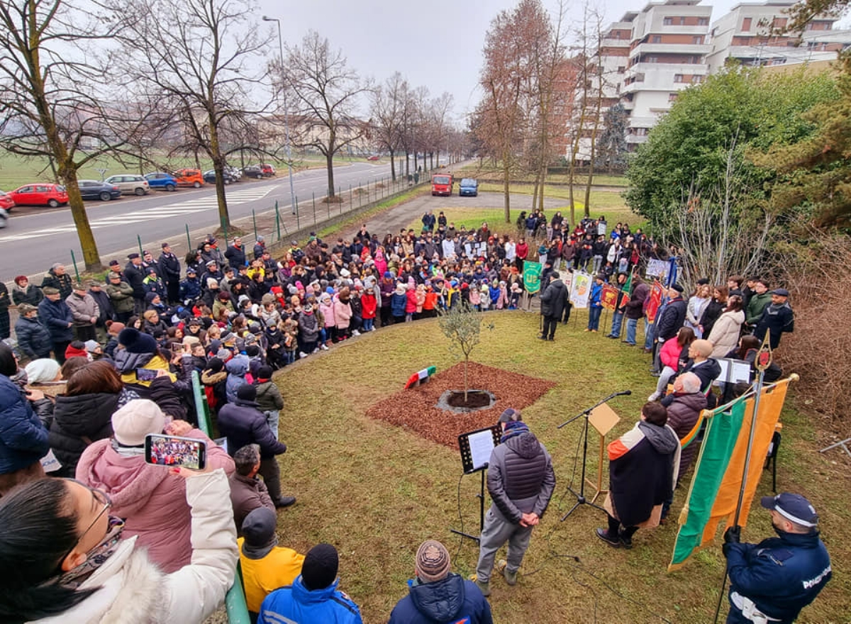 VENARIA - Giorno della Memoria: piantato un ulivo nella scuola Don Milani - FOTO