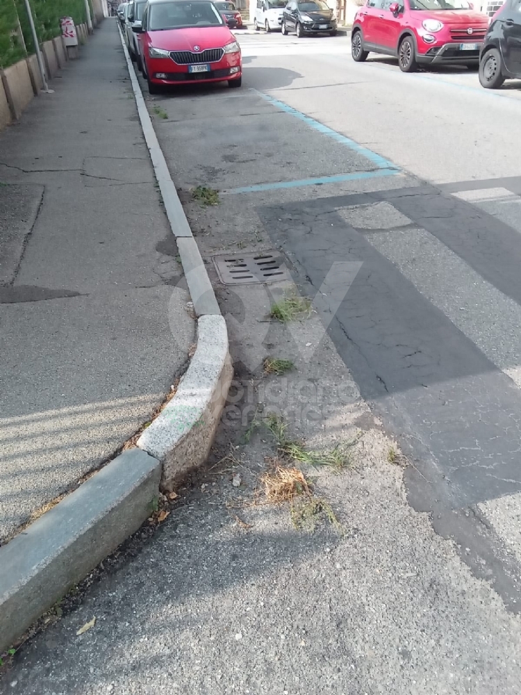 VENARIA - Il grande lavoro dei cantieristi: estirpano le erbacce, tinteggiano le aule e puliscono le aiuole - FOTO