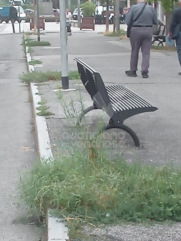 VENARIA - Il grande lavoro dei cantieristi: estirpano le erbacce, tinteggiano le aule e puliscono le aiuole - FOTO