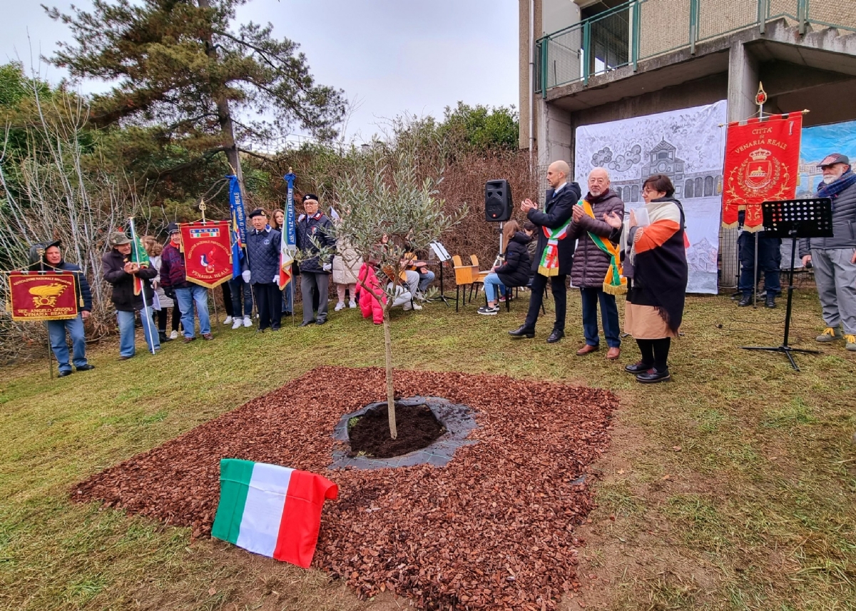 VENARIA - Giorno della Memoria: piantato un ulivo nella scuola Don Milani - FOTO