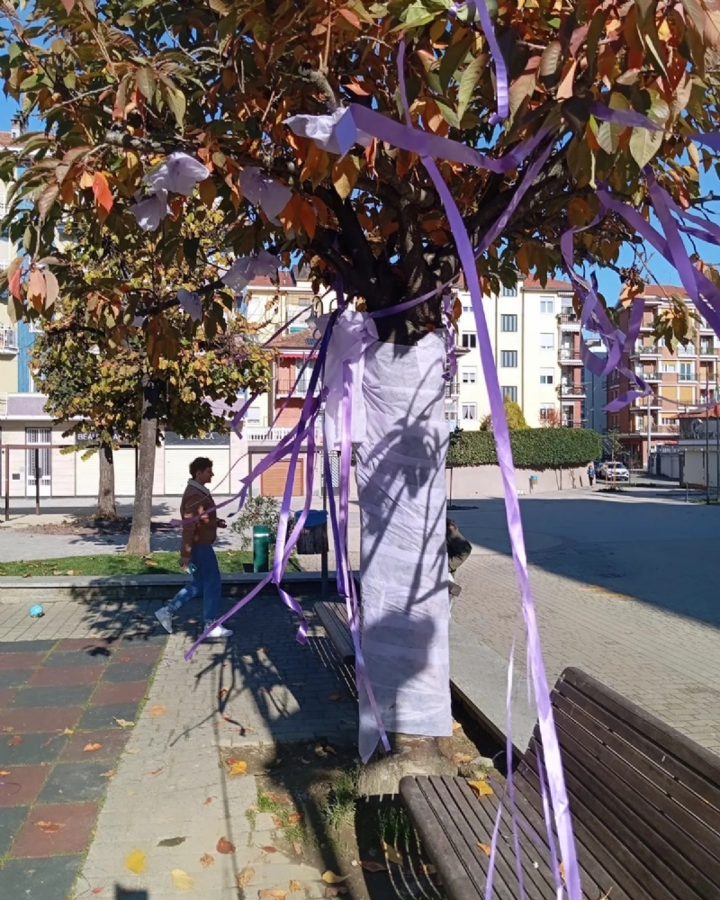 VANDALI AD ALPIGNANO - Danneggiati gli «Alberi della Gentilezza» di piazza Caduti - FOTO