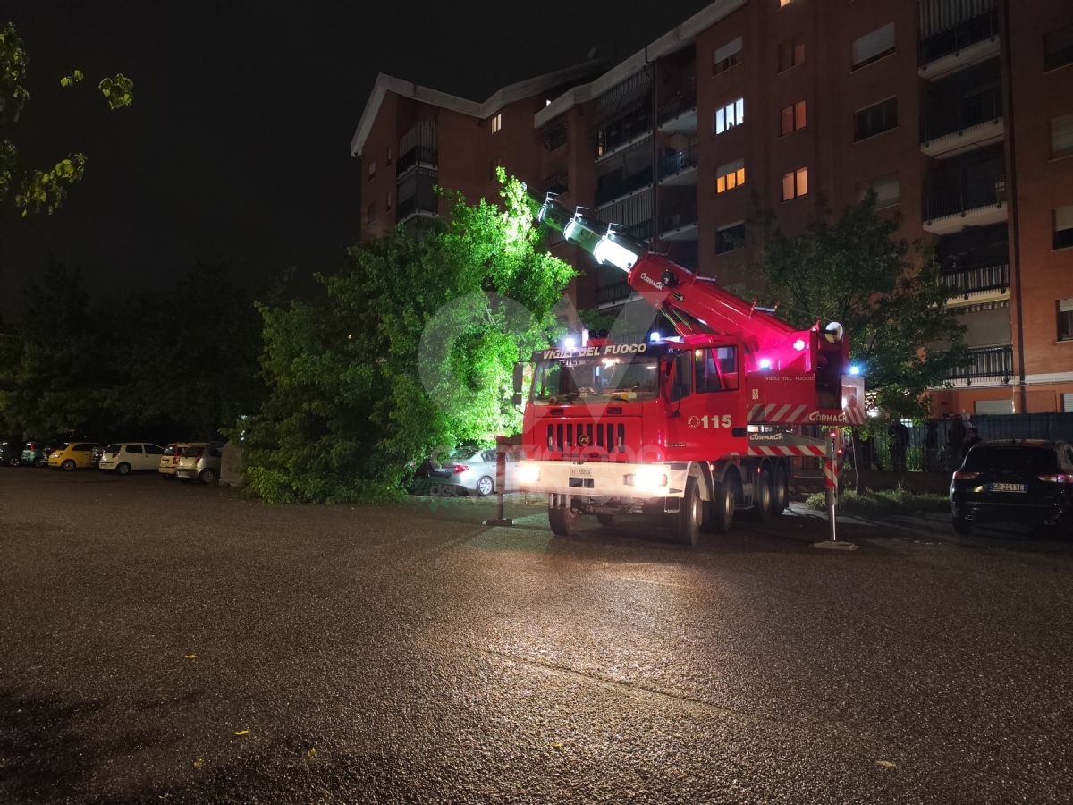 PAURA A VENARIA - Maltempo, albero cade su tre auto in via Paganini - FOTO