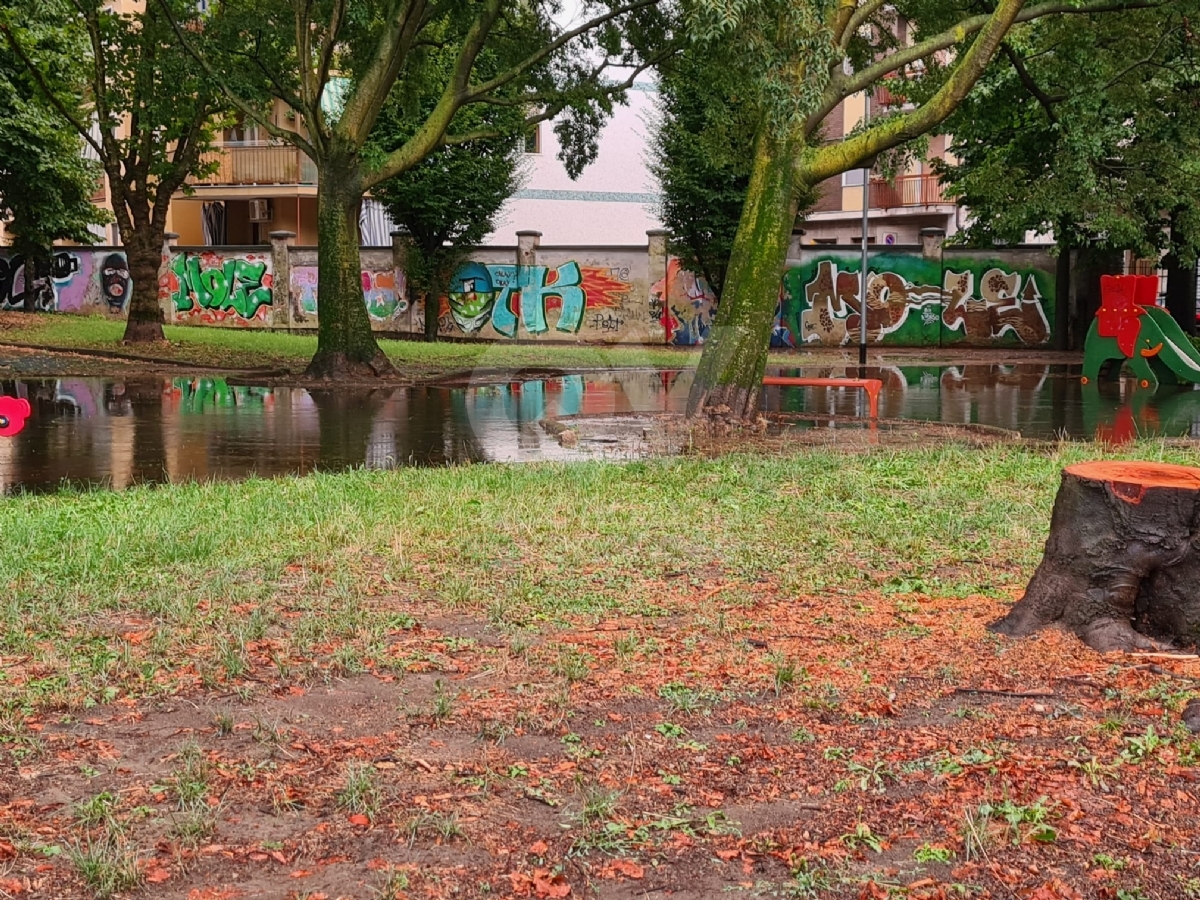 MALTEMPO IN ZONA OVEST - Violento temporale con grandine: strade allagate e alberi caduti - FOTO E VIDEO