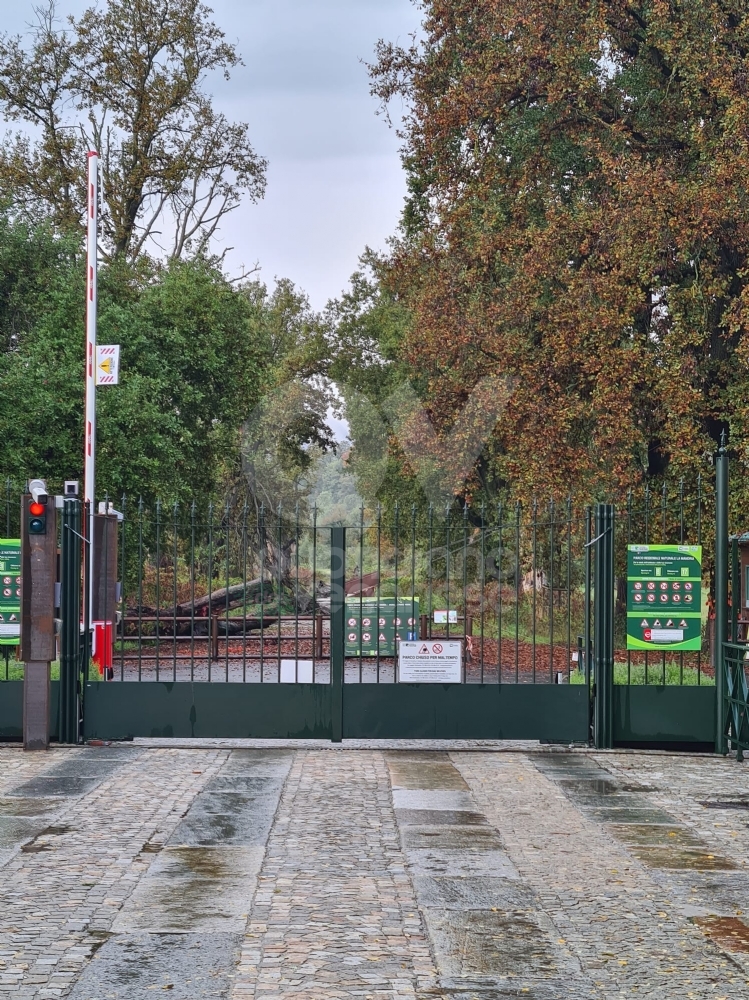 MALTEMPO - Situazione in miglioramento: nel Torinese l'allerta da arancione a gialla - FOTO