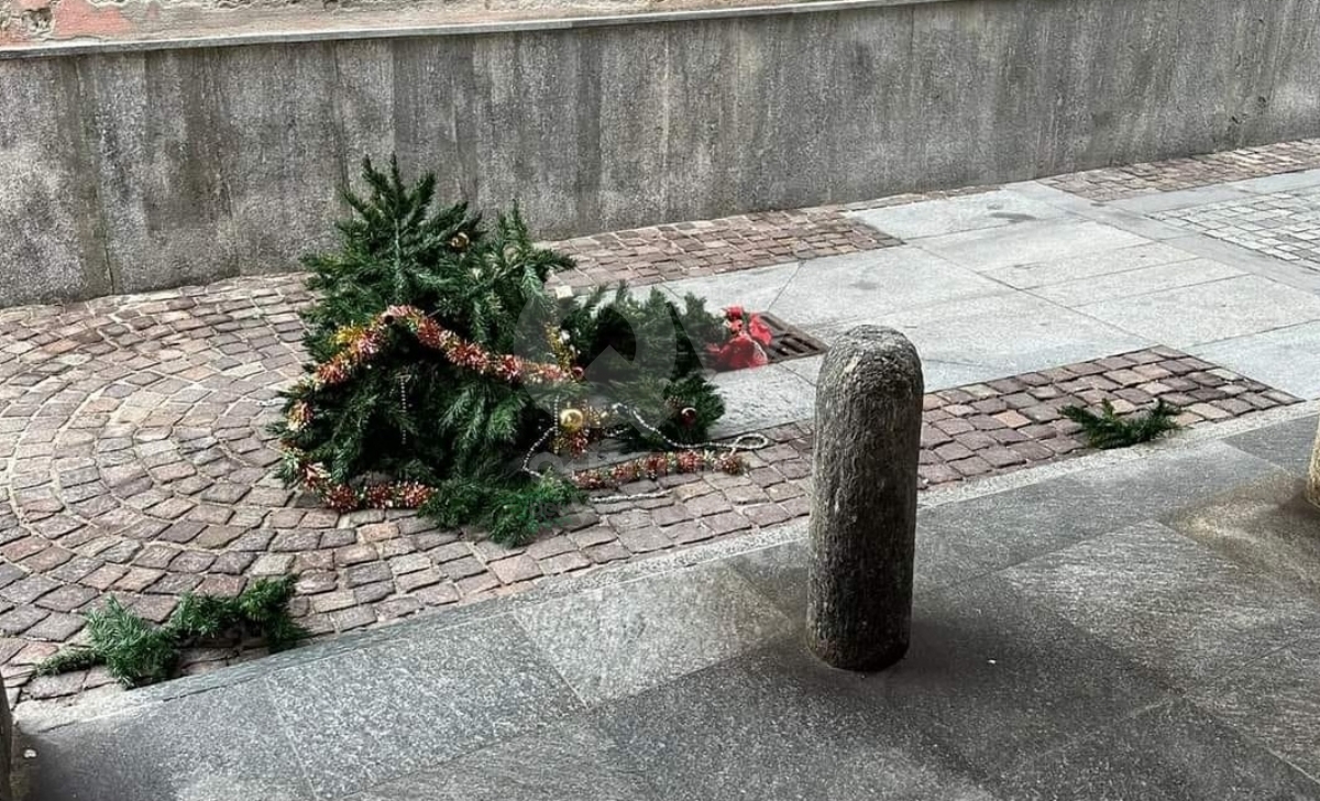 VANDALI A CASELLE - Muri imbrattati, alberi a terra. Marsaglia: «Abbiamo sporto denuncia» - FOTO