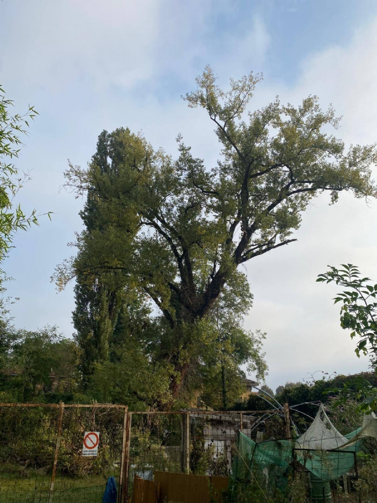 VENARIA - Iniziata la pulizia del canale irriguo di via Mascia Quirino: vigili del fuoco protagonisti - FOTO