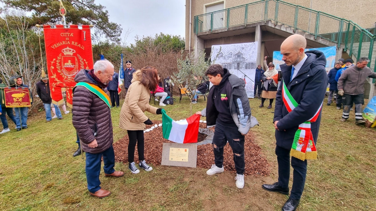 VENARIA - Giorno della Memoria: piantato un ulivo nella scuola Don Milani - FOTO