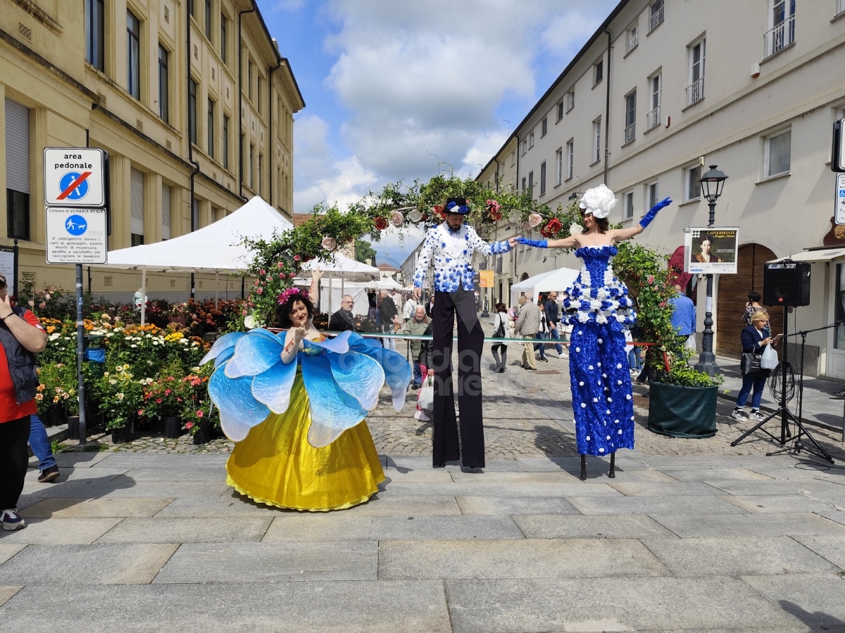 VENARIA - Fiori, profumi, essenze, prelibatezze: via alla ventesima «Festa delle Rose» - FOTO