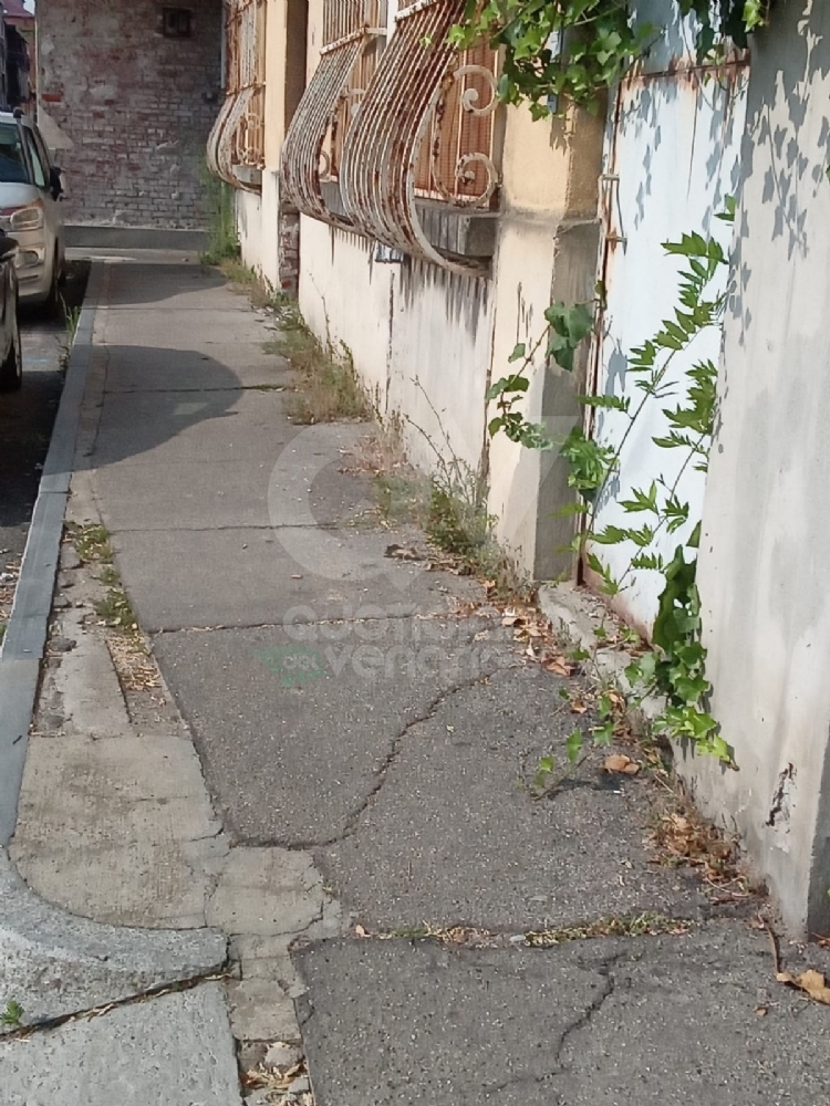 VENARIA - Il grande lavoro dei cantieristi: estirpano le erbacce, tinteggiano le aule e puliscono le aiuole - FOTO