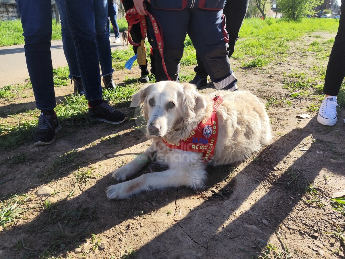 VENARIA - Inaugurate le nuove aree cani in città: «I proprietari devono raccogliere i bisogni» - FOTO