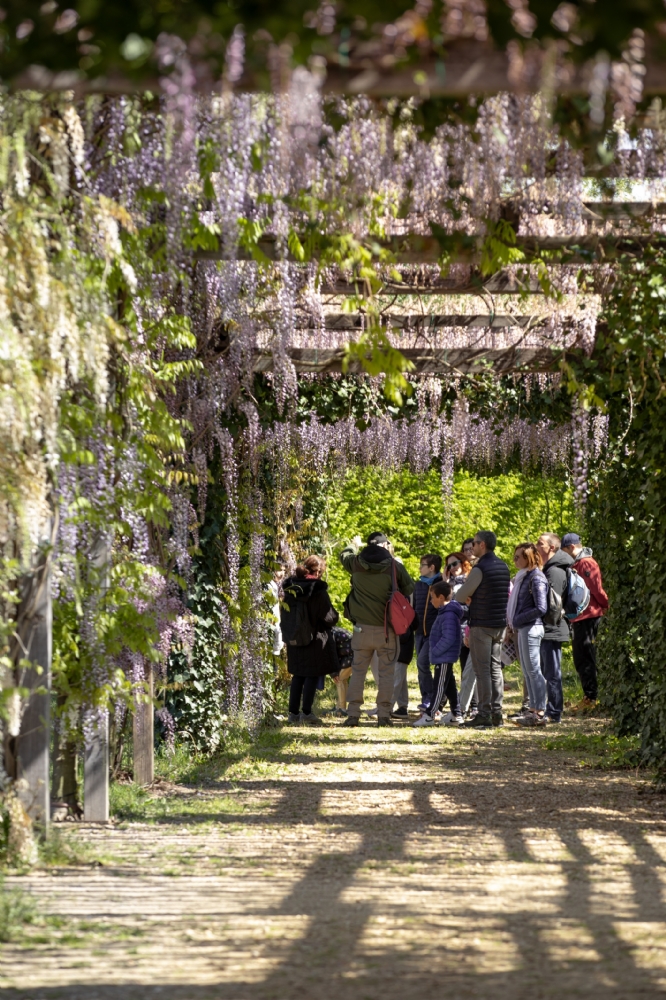 VENARIA - Quasi 11mila turisti alla Reggia nella giornata festiva del 25 Aprile - FOTO