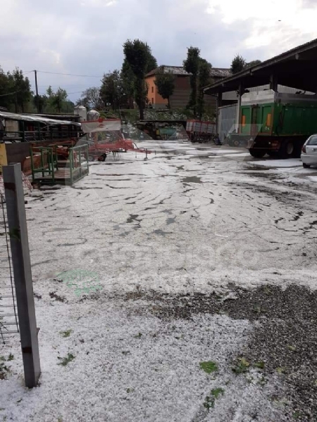 MALTEMPO - Grandine pioggia e vento nella nostra zona. Chicchi da 3 centimetri di diametro - FOTO