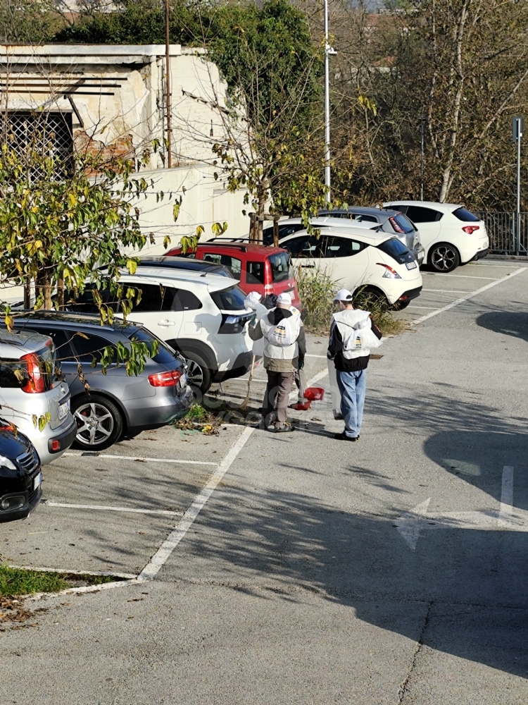 VENARIA - I dipendenti di McDonald’s puliscono il Movicentro, la stazione ferroviaria e «Corona Verde» - FOTO