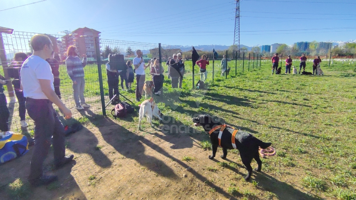 VENARIA - Inaugurate le nuove aree cani in città: «I proprietari devono raccogliere i bisogni» - FOTO