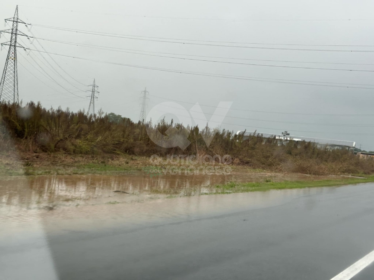 MALTEMPO - Torna la pioggia: disagi, strade allagate e rallentamenti al traffico - FOTO