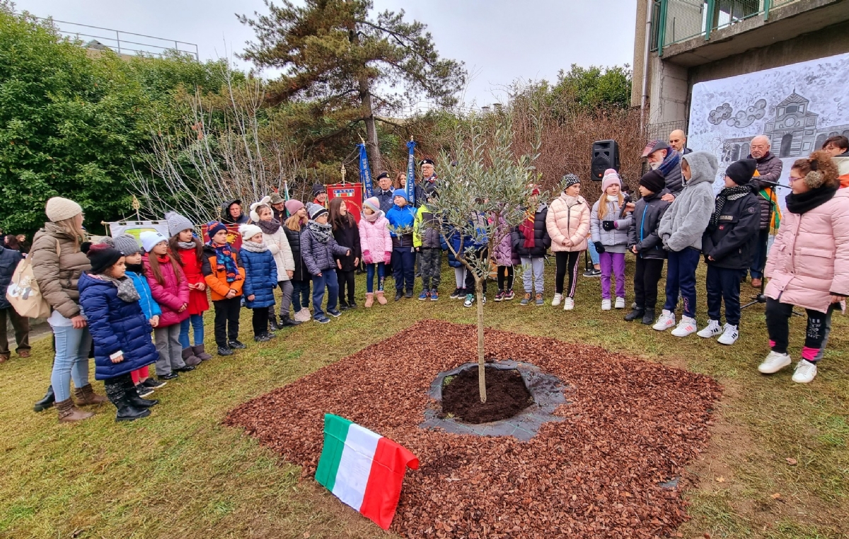 VENARIA - Giorno della Memoria: piantato un ulivo nella scuola Don Milani - FOTO