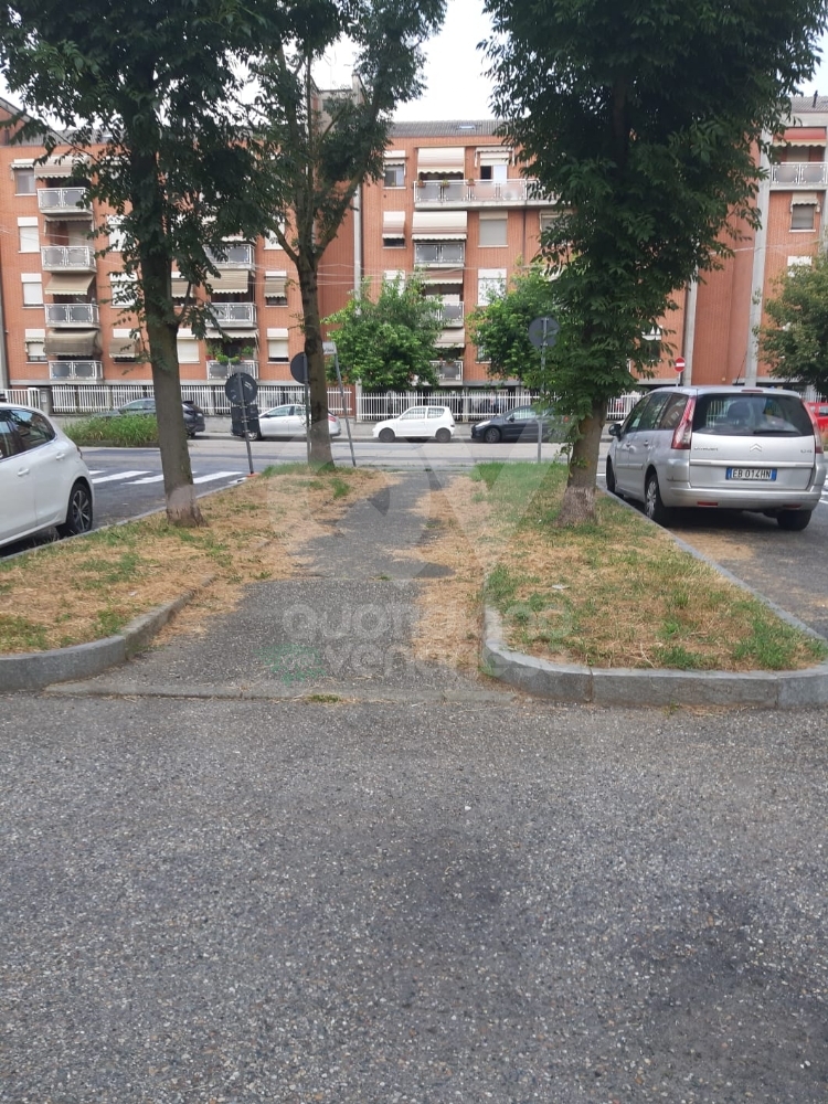 VENARIA - Il grande lavoro dei cantieristi: estirpano le erbacce, tinteggiano le aule e puliscono le aiuole - FOTO