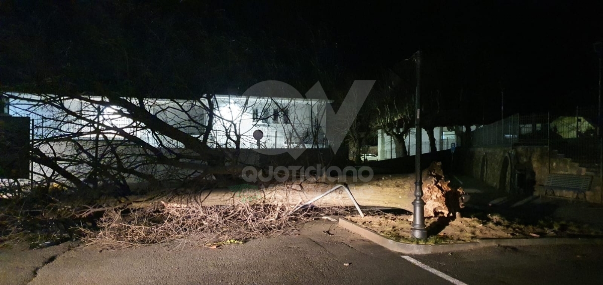 FORTI RAFFICHE DI VENTO - Danni a Rivoli, Grugliasco, San Gillio, La Cassa e Fiano - FOTO