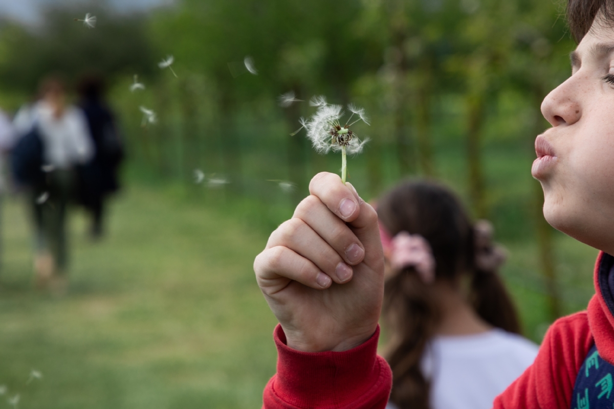 VENARIA - Quasi 11mila turisti alla Reggia nella giornata festiva del 25 Aprile - FOTO