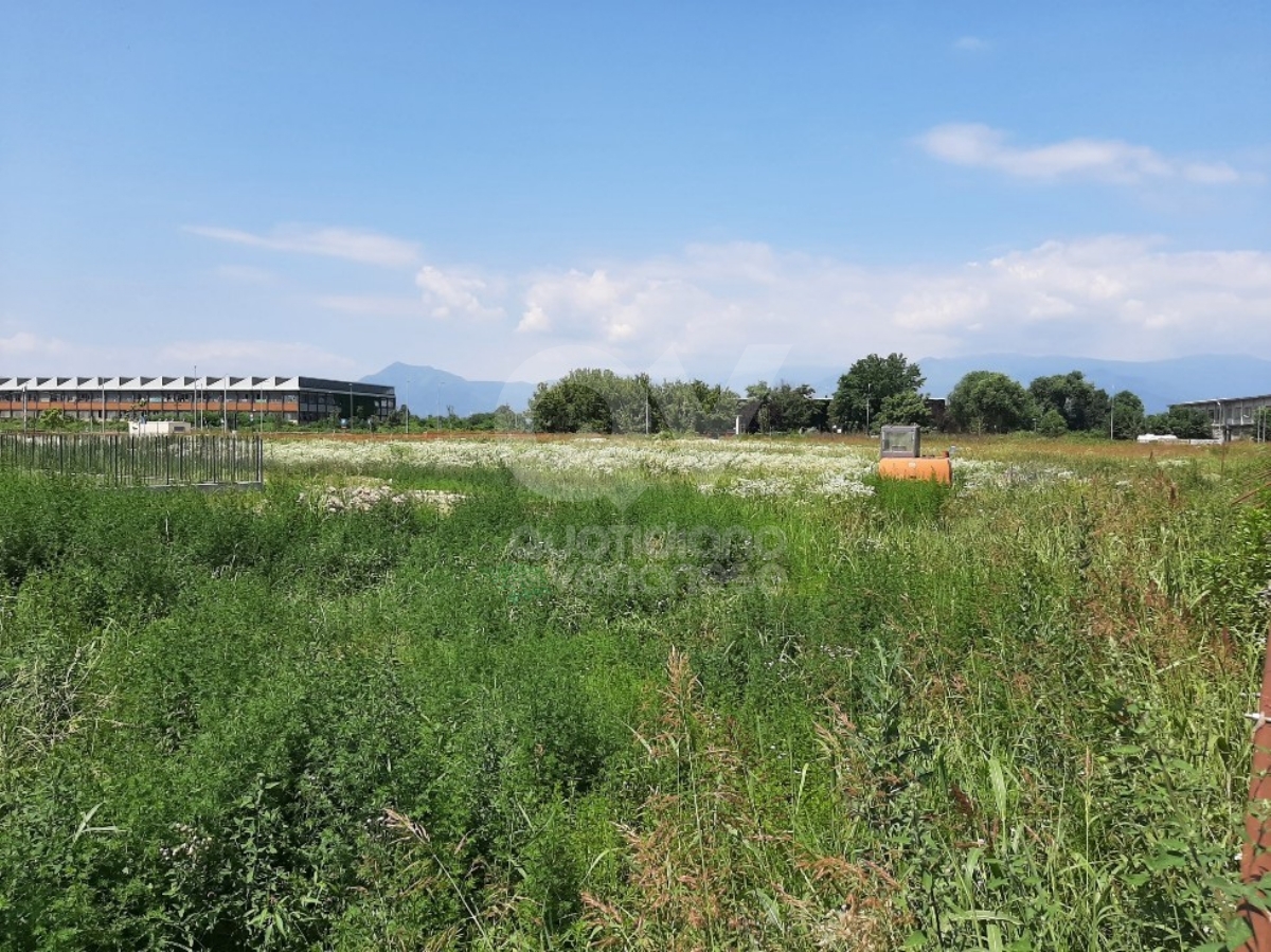 VENARIA - Camper e abbandono di rifiuti in corso Piemonte: controlli e sanzioni da parte di Polizia Locale e Carabinieri - FOTO