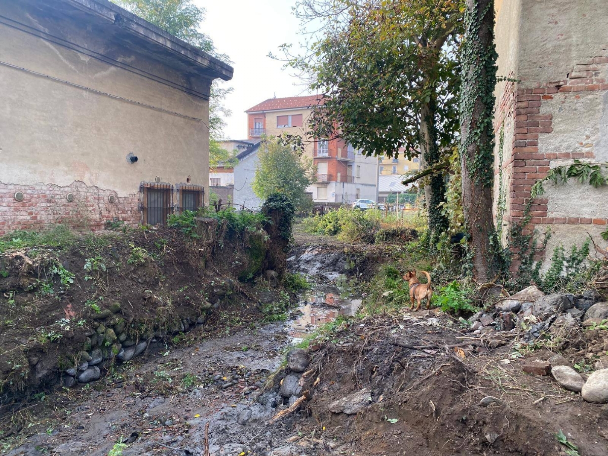 VENARIA - Iniziata la pulizia del canale irriguo di via Mascia Quirino: vigili del fuoco protagonisti - FOTO