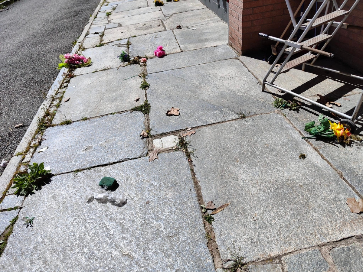 VENARIA - Il vento spazza via i fiori nei cimiteri: domani riapre il parco La Mandria - FOTO