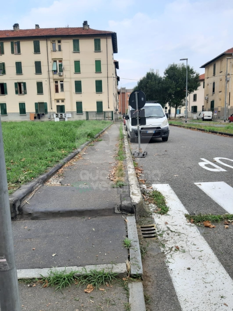 VENARIA - Il grande lavoro dei cantieristi: estirpano le erbacce, tinteggiano le aule e puliscono le aiuole - FOTO