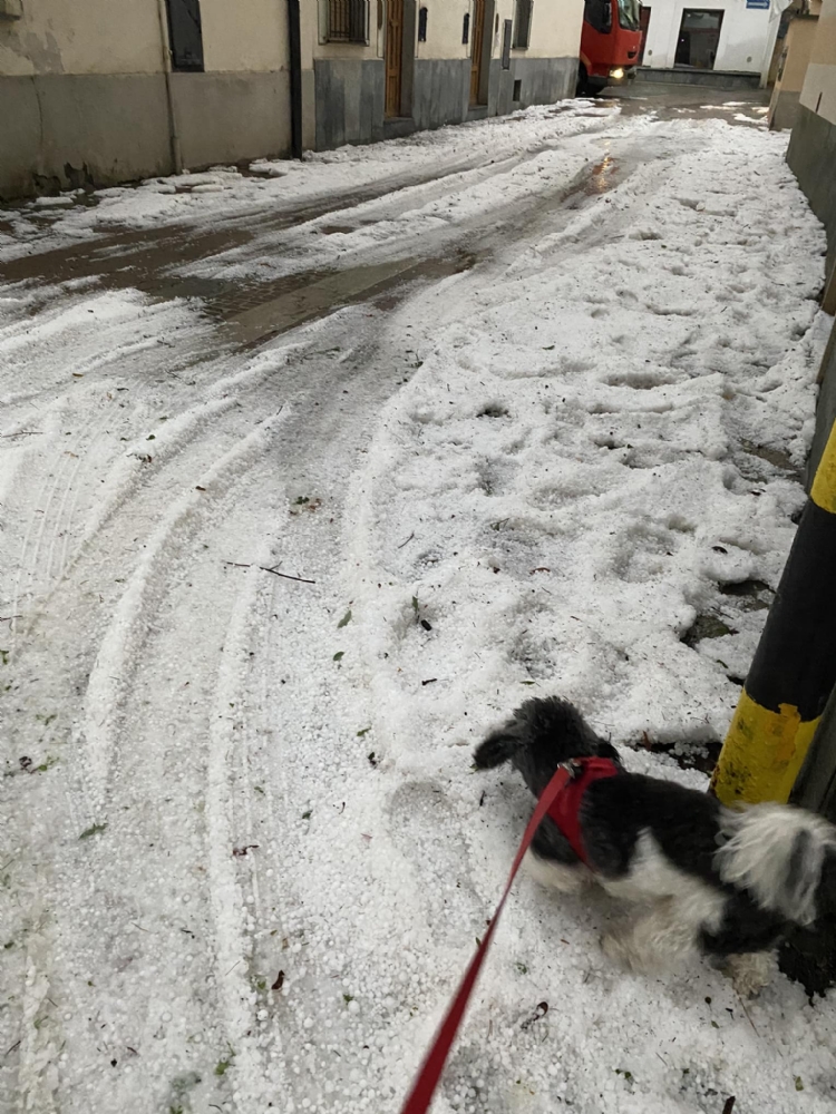 GRANDINATA E ACQUAZZONE - Forti disagi a Givoletto, strade «bianche» in Val Ceronda e Casternone - FOTO