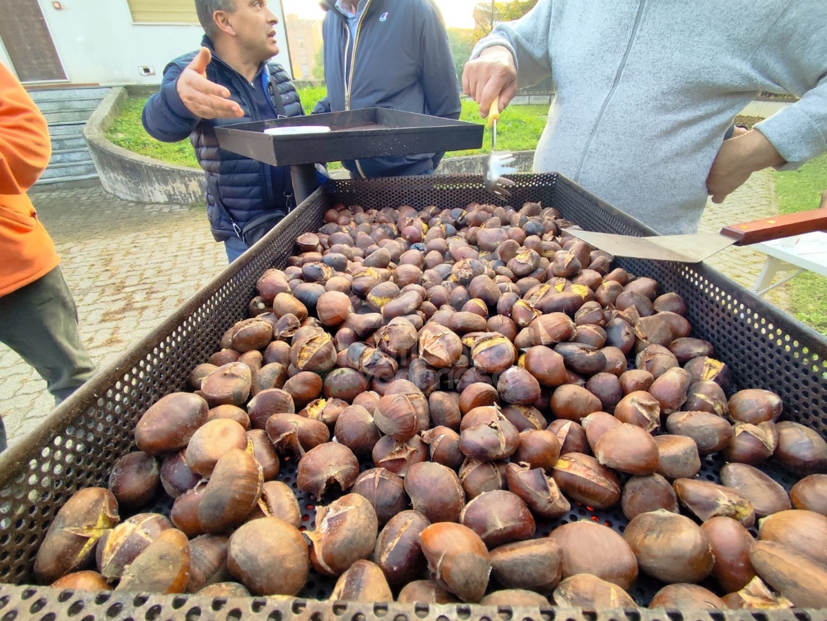 VENARIA - Grande festa per la Castagnata del Vespa Club - FOTO