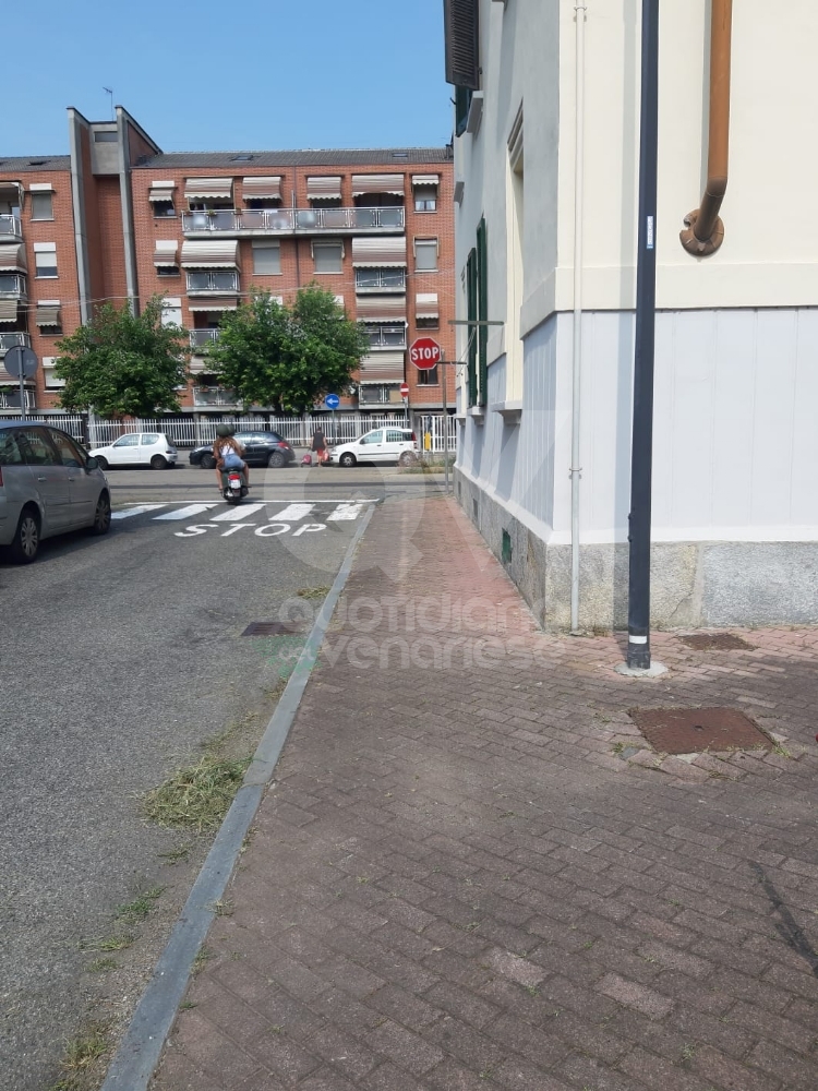 VENARIA - Il grande lavoro dei cantieristi: estirpano le erbacce, tinteggiano le aule e puliscono le aiuole - FOTO