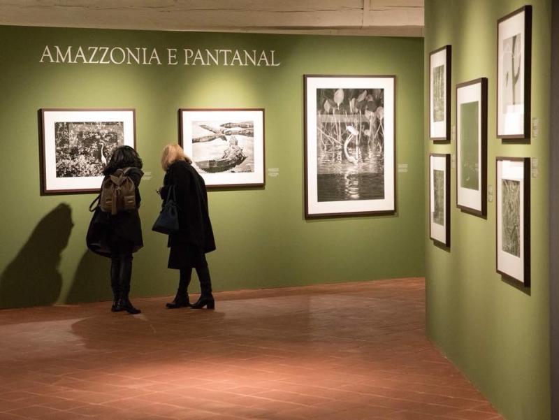 VENARIA - Sebastião Salgado in mostra alla Reggia fino al 16 settembre con «Genesi»